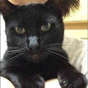 Meet your Posher, Aromance